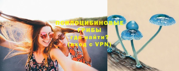 шишки Иннополис