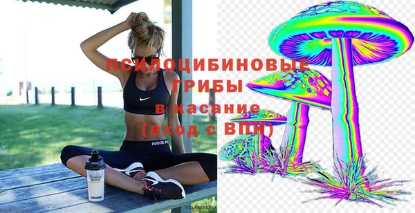 шишки Иннополис