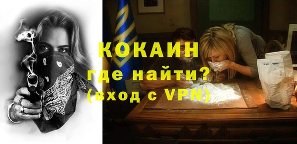 шишки Иннополис