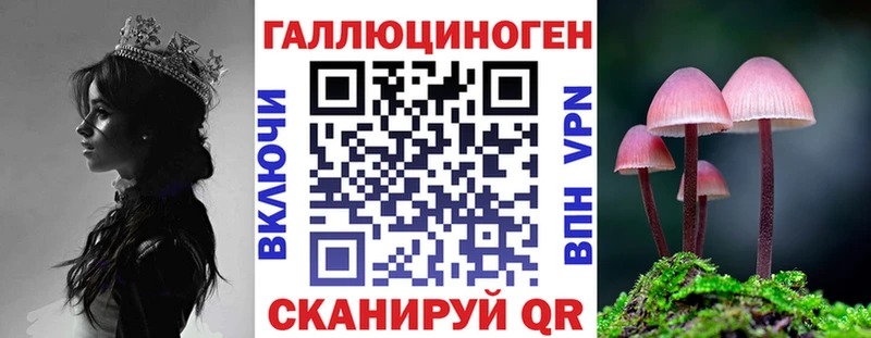 Купить закладки  Абдулино  Псилоцибиновые грибы мухоморы 